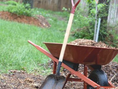Atlanta Landscaping Projects Made Easy with Yard Waste Dumpsters